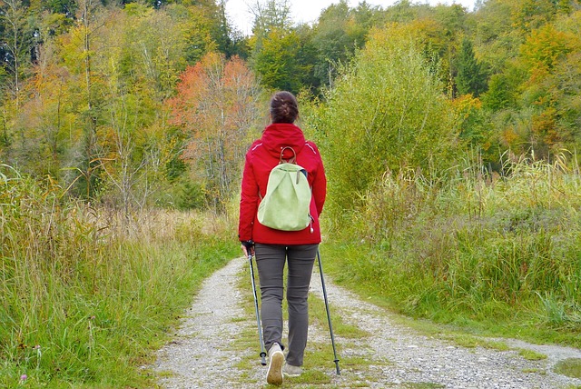woman, girl, walken, to go for a walk, backpack, outdoors, nature, forest, meadow, fall, fresh air, burnout, depression, heal, move, prevent, immune system, flu, cold, virus, menopause, female, human, pleasure, leisure time, hike, quiet, silence, inner center, relax, time out, happy, satisfaction, mindfulness, alone, lonely, the joy of living healthy, walken, fresh air, immune system, menopause, menopause, menopause, menopause, menopause - hormonal health