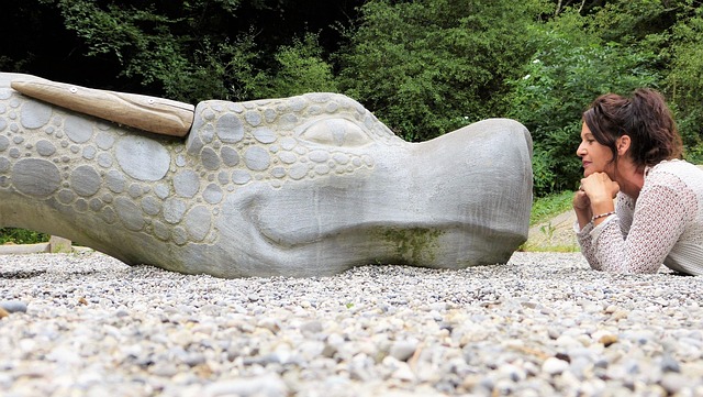 dragon, woman, human, stone, pebble, stones, lie, entertain, look at, as a couple, compared to, fantasy, nature, outdoors, imagination, fairy tale, mythical creatures, animal, magic, affection, understanding, tolerance, different, mythical animal, fairy tale character, exchange, peaceful, trust, friendship, playground, children's playground, children, climb, wisdom, menopause, old, conversation, boss, lindworm, dragon, dragon, dragon, dragon, dragon, understanding, menopause, menopause, menopause, conversation, conversation - hormonal health