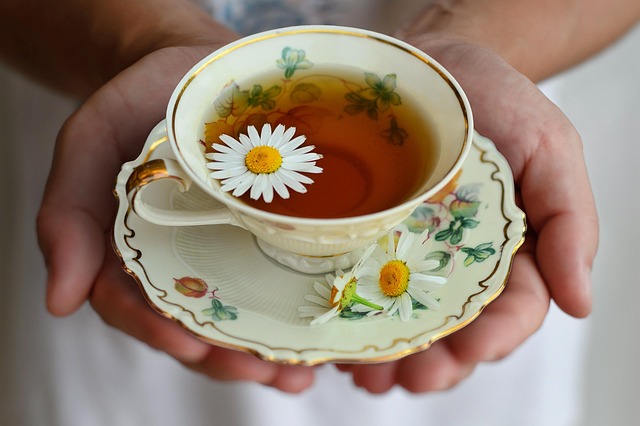 cup, tea, porcelain, tea cup, drink, decor, break, still life, teatime, herbal tea, chamomile tea, bless you, herbs, hand, hands, hot, morning, relaxation, relax, tee, teacup, rest, enjoy, woman - hormonal health
